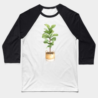 Fiddle leaf fig, houseplant, potted plant, fiddle leaf Baseball T-Shirt